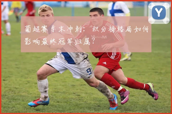 葡超赛季末冲刺：积分榜格局如何影响最终冠军归属？