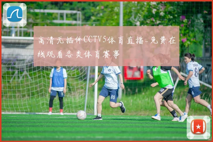 高清无插件CCTV5体育直播_免费在线观看各类体育赛事