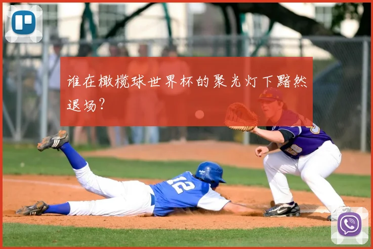 谁在橄榄球世界杯的聚光灯下黯然退场？