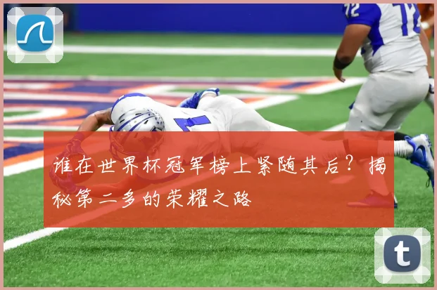 谁在世界杯冠军榜上紧随其后？揭秘第二多的荣耀之路