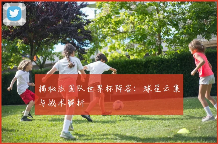 揭秘法国队世界杯阵容：球星云集与战术解析