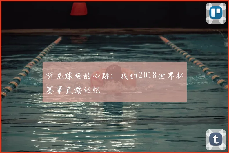 听见球场的心跳：我的2018世界杯赛事直播记忆