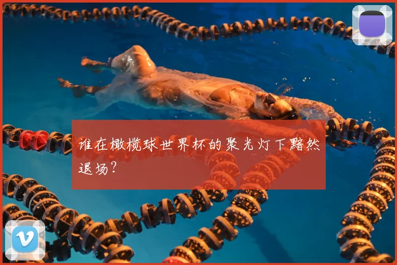 谁在橄榄球世界杯的聚光灯下黯然退场？