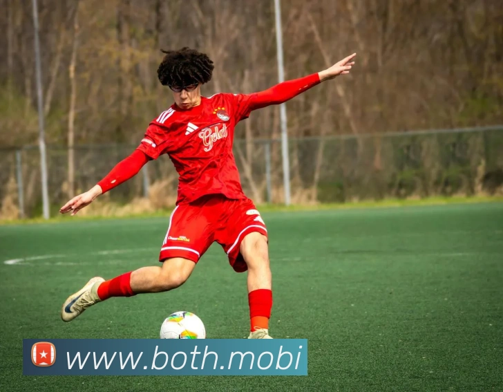 App Interface Preview